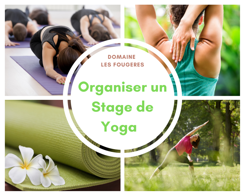 Organiser un stage de Yoga dans la Drome au Domaine Les Fougères